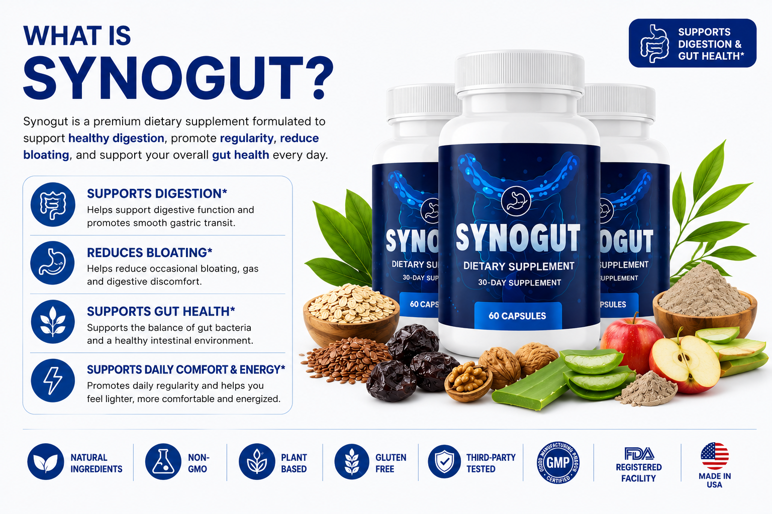 What is Synogut